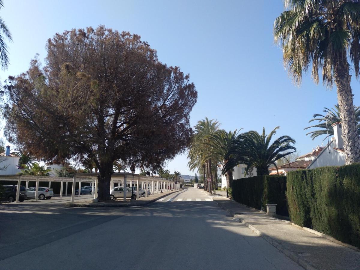 Apartamento Rey-Piscina Dénia Eksteriør billede